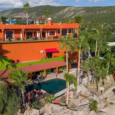 The Agave Club In Los Barriles