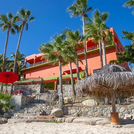 The Agave Club In Los Barriles