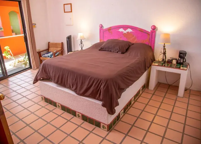 The Agave Club In Barriles Buenavista (Baja California Sur)